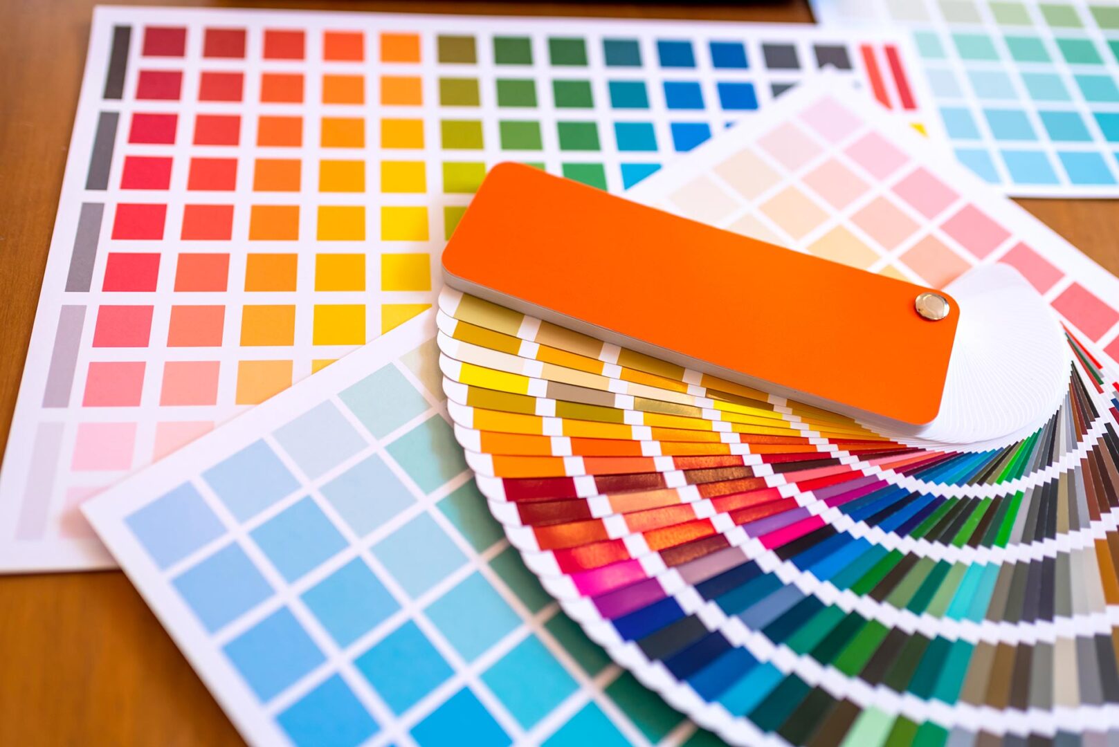 Colorwd Servizi 1617x1080