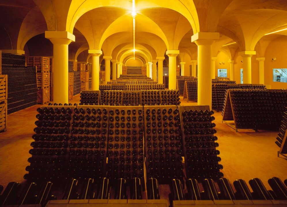 Fermentazioni in Armonia: Il Dialogo tra Vino e Scienza @ Cantina Contadi Castaldi
